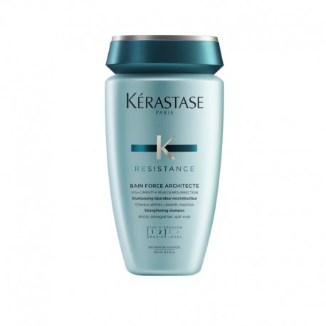 Kerastase Resistance Force Architect