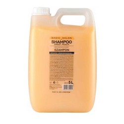 Stapiz Basic Salon Brzoskwiniowy  szampon do wszystkich rodzajów włosów  5000 ml