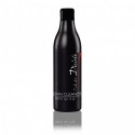 Stapiz Color Art Desiree Zmywacz do farby 300 ml