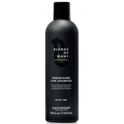 Alfaparf Blends of Many Równoważący szampon do włosów dla mężczyzn 250 ml