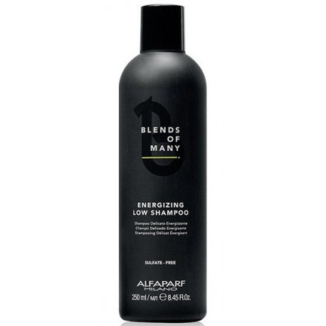 Alfaparf Blends of Many Równoważący szampon do włosów dla mężczyzn 250 ml