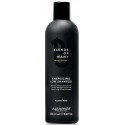 Alfaparf Blends of Many Szampon do włosów dla mężczyzn o działaniu energetyzującym 250 ml