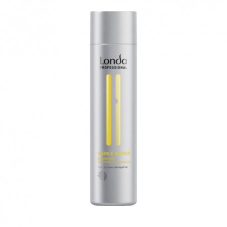 Londa Visible Repair