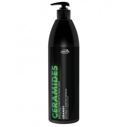Joanna Professional CERAMIDES Odżywka z ceramidami do wszystkich rodzajów włosów 1000 ml