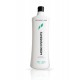 Scandic Swedish Perm