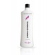 Scandic Swedish Perm