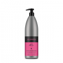 Allwaves Color Defense Szampon chroniący kolor 1000 ml