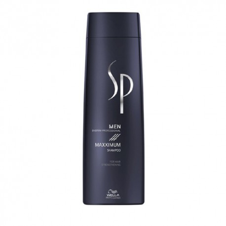Wella SP Men Maxximum