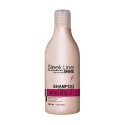 Stapiz Sleek Line Color Szampon do włosów farbowanych 300ml